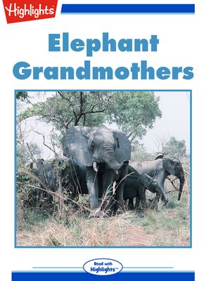 cover image of Elephant Grandmothers